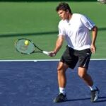 tenis